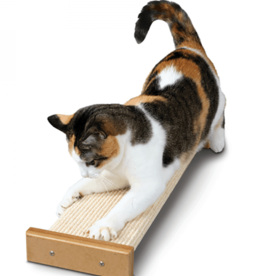 StarMark Smart Cat Bootsies Combo Scratcher
