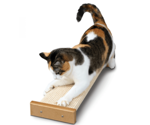 Bootsie's hotsell combination scratcher