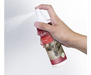 Blissful Companion-Catnip Spray – The Herb Shoppe