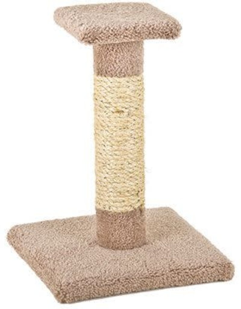 Ware Ware Kitty Cactus w/Sisal & Top 18"