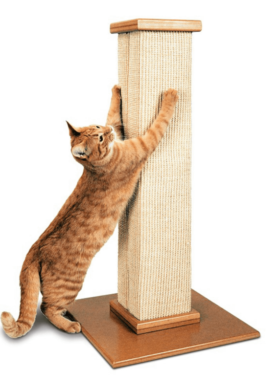 Pioneer Pet Pioneer Pet 32" Ultimate Scratching Post