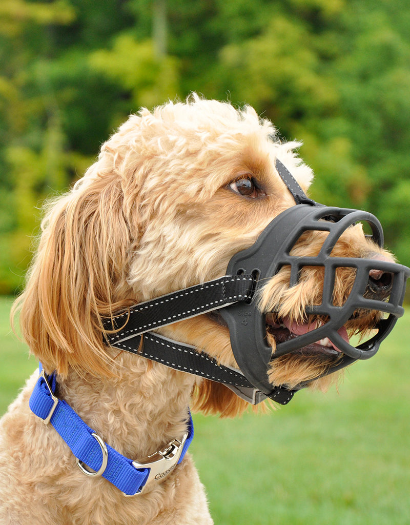 Coastal Coastal Soft Basket Muzzle