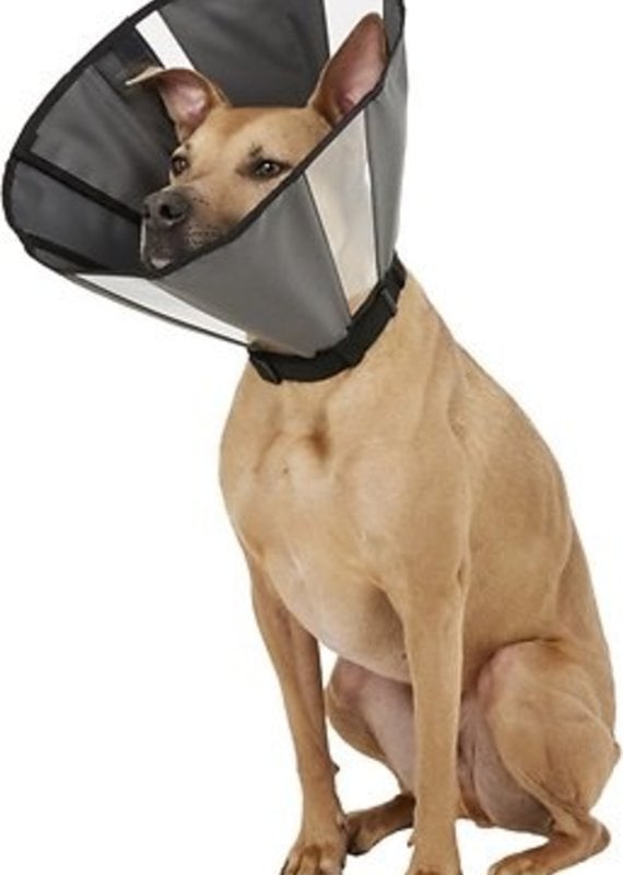  Health Supplies - Dogs: Pet Supplies: Recovery Collars & Cones,  Supplements & Vitamins, Dental Care & More