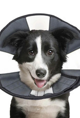 ZenPet Zenpet Recovery Cones