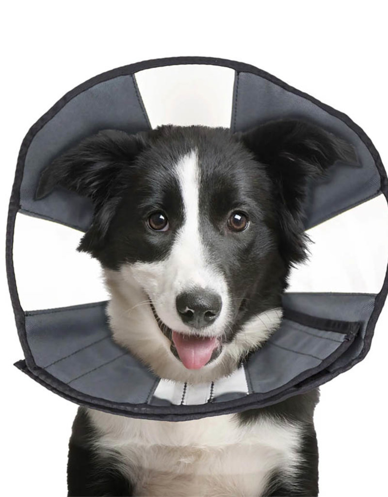 ZenPet Zenpet Recovery Cones