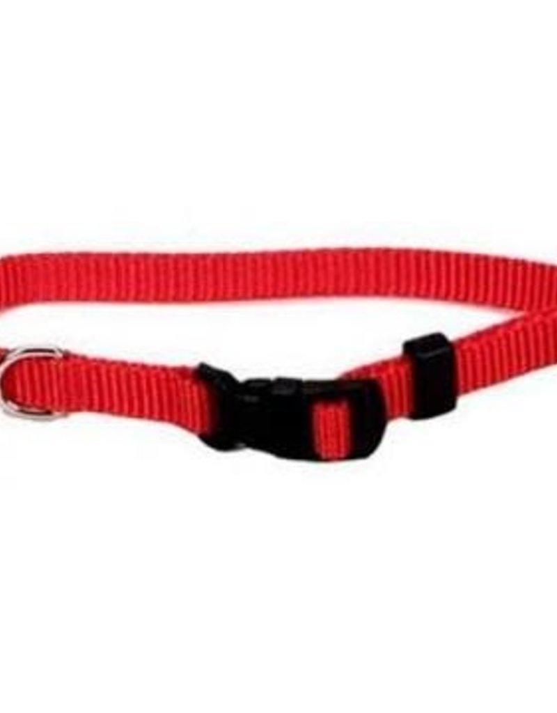 Coastal 3/4” Metal Buckle Collar - Tabby & Jack's Pet Supplies and Grooming