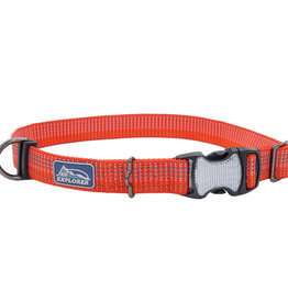 Coastal Coastal K9 Explorer Bright Dog Collar