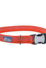 Coastal Coastal K9 Explorer Bright Dog Collar