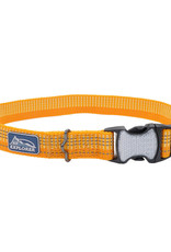 Coastal Coastal K9 Explorer Bright Dog Collar