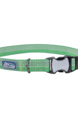 Coastal Coastal K9 Explorer Bright Dog Collar