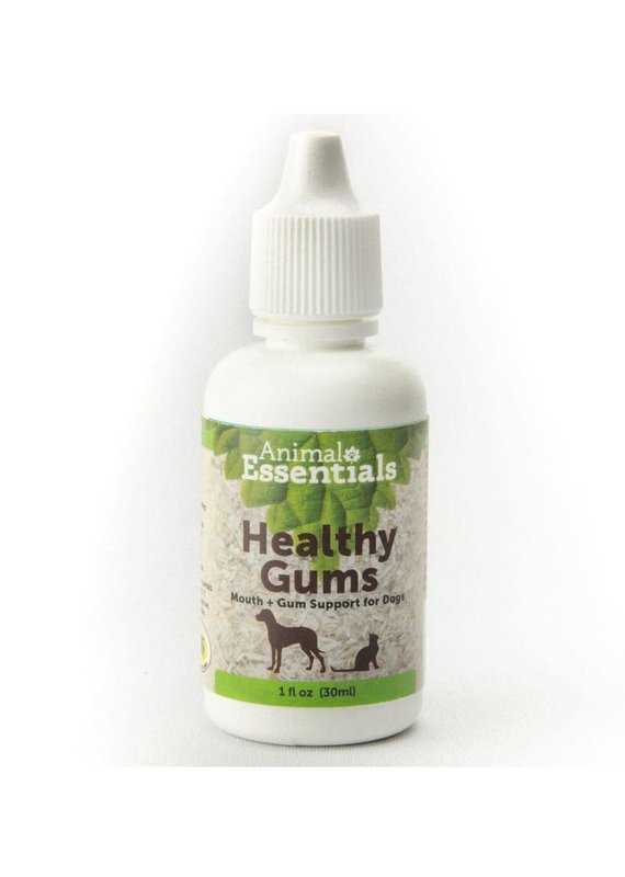 Animal Essentials Animal Essentials Healthy Gums