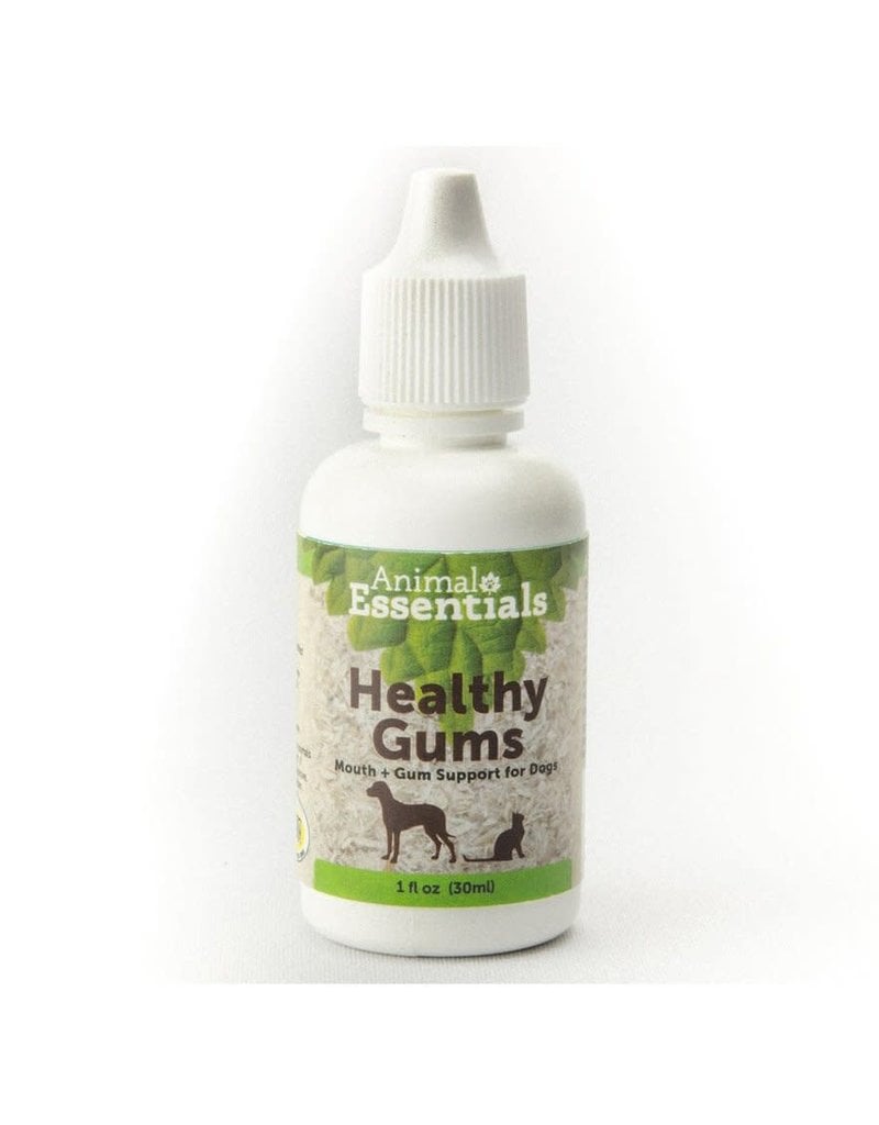 Animal Essentials Animal Essentials Heathy Gums