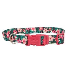 Coastal Coastal Attire Collar