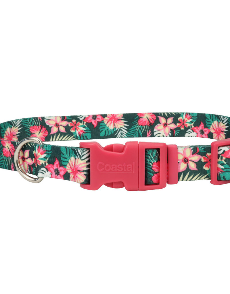 Coastal Coastal Attire Collar