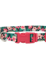 Coastal Coastal Attire Collar