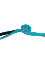 Coastal Coastal K9 Explorer Brights Reflective Leash 6'