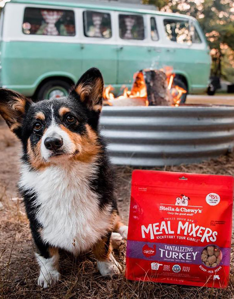Stella & Chewys Stella & Chewy's Freeze Dried Meal Mixer