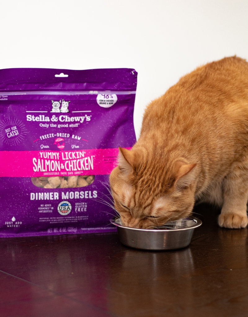 Stella & Chewys Stella & Chewy's Cat Freeze Dried 8oz