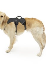 Ruffwear Ruffware Web Master Harness