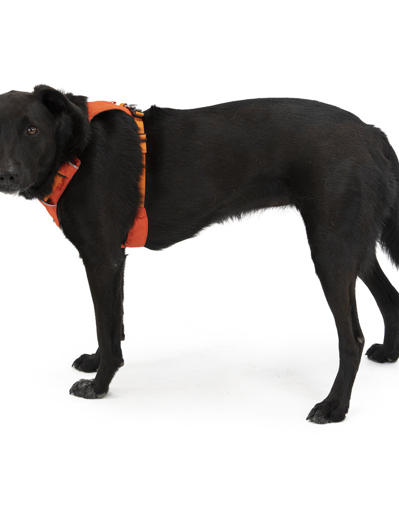 Ruffwear RuffWear Hi & Light Harness