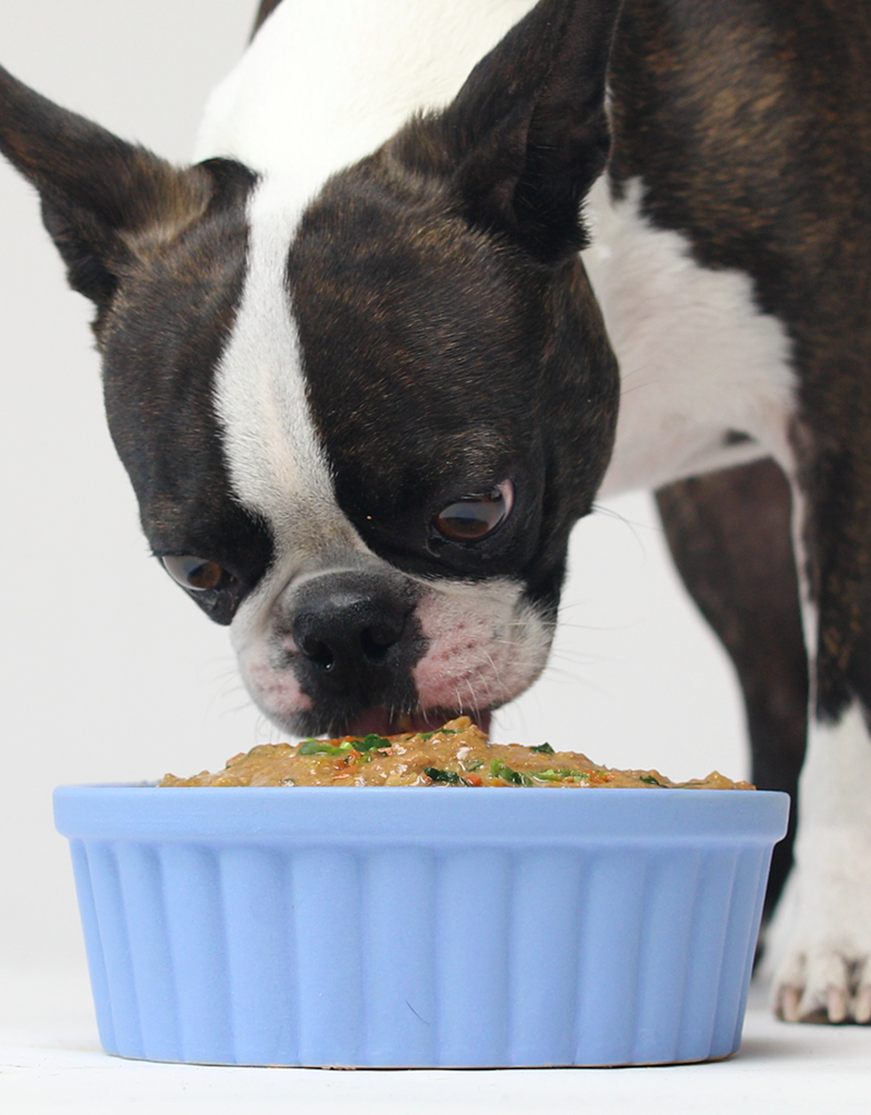 Open Farms Open Farm Grain Free Stew 12.5oz