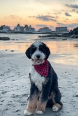 Tall Tails Tall Tails Winter Bandana Red Plaid