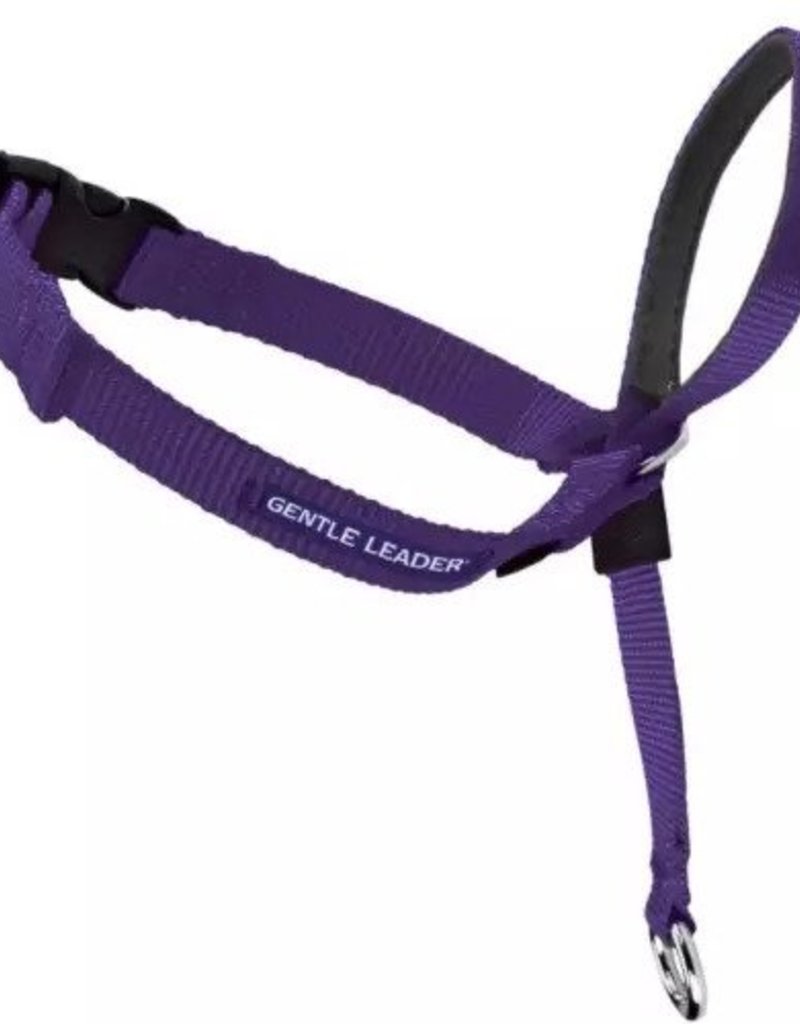 Premier Gentle Leaders Head Collar