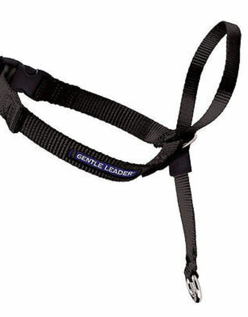 Premier Gentle Leaders Head Collar