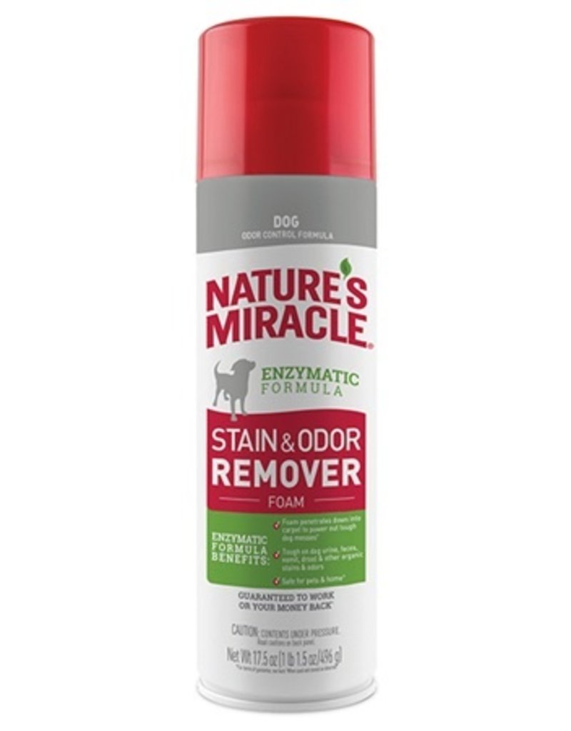 Nature's Miracle - Stain & Odor Remover - Tabby & Jack's Pet Supplies and  Grooming