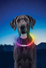 Nite Ize NiteHowl LED Rechargeable Safety Necklace - Disco