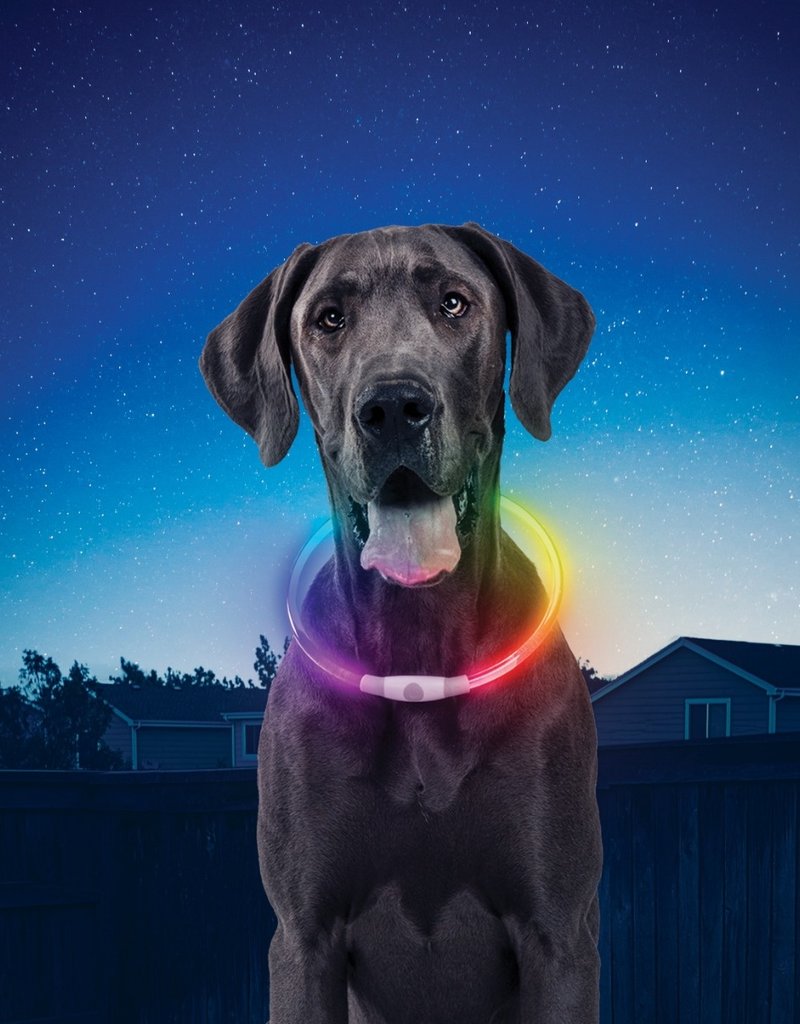 Nite Ize NiteHowl LED Rechargeable Safety Necklace - Disco