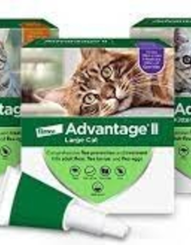 Bayer Bayer Advantage 2