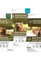 Bayer Bayer Quad Dewormer Dog