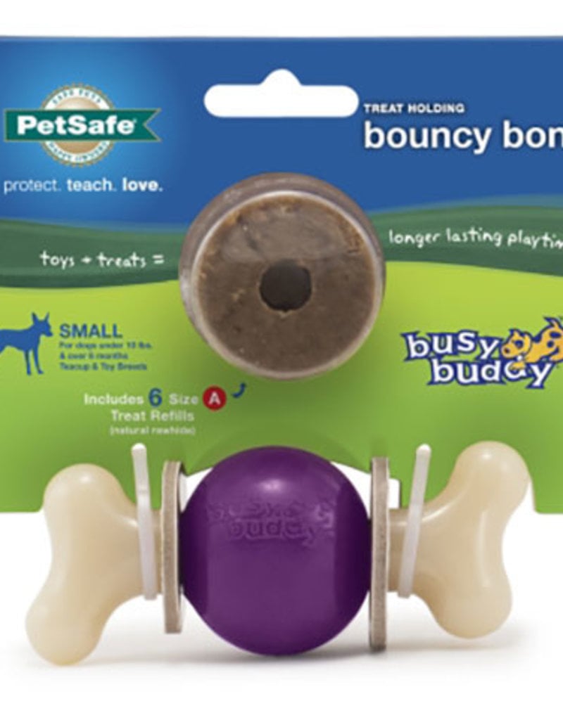 Busy Buddy Bouncy Bone