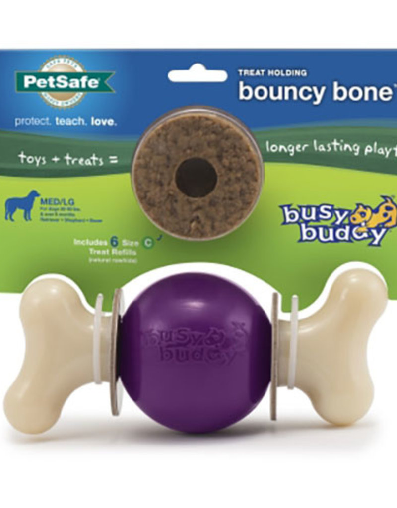 Busy Buddy Bouncy Bone