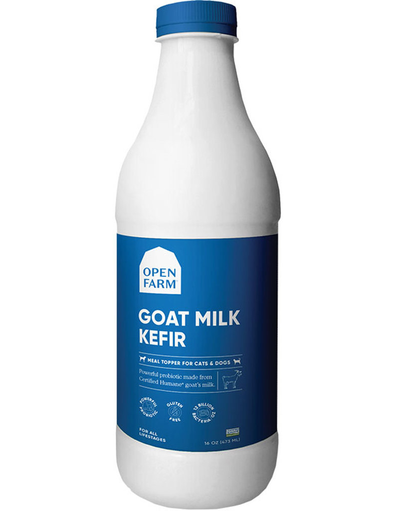 How To Feed Kefir To Dog