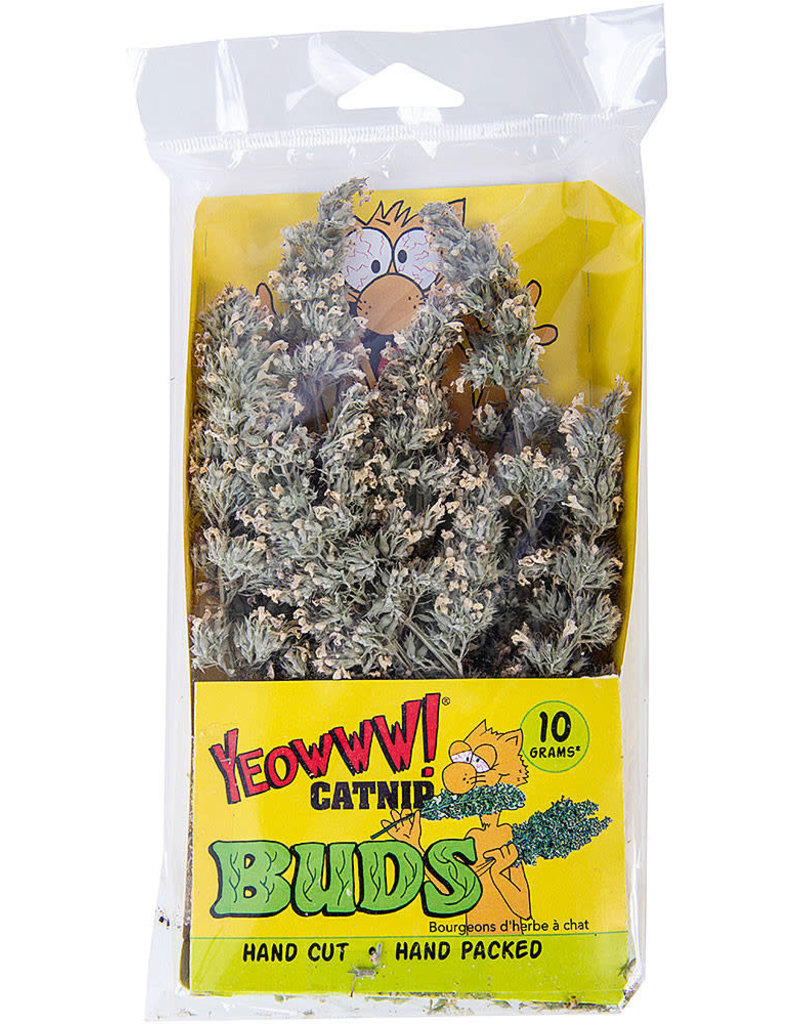 Yeoww Yeowww Catnip Buds 10G