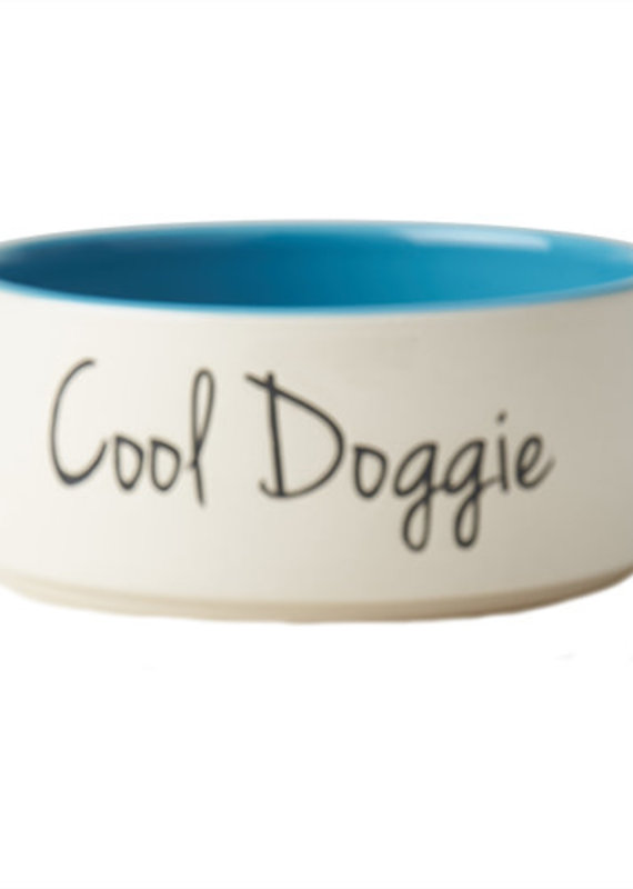 Petrageous Designs PR Cool Doggie 6" Bowl, Natural/Teal 4 Cups