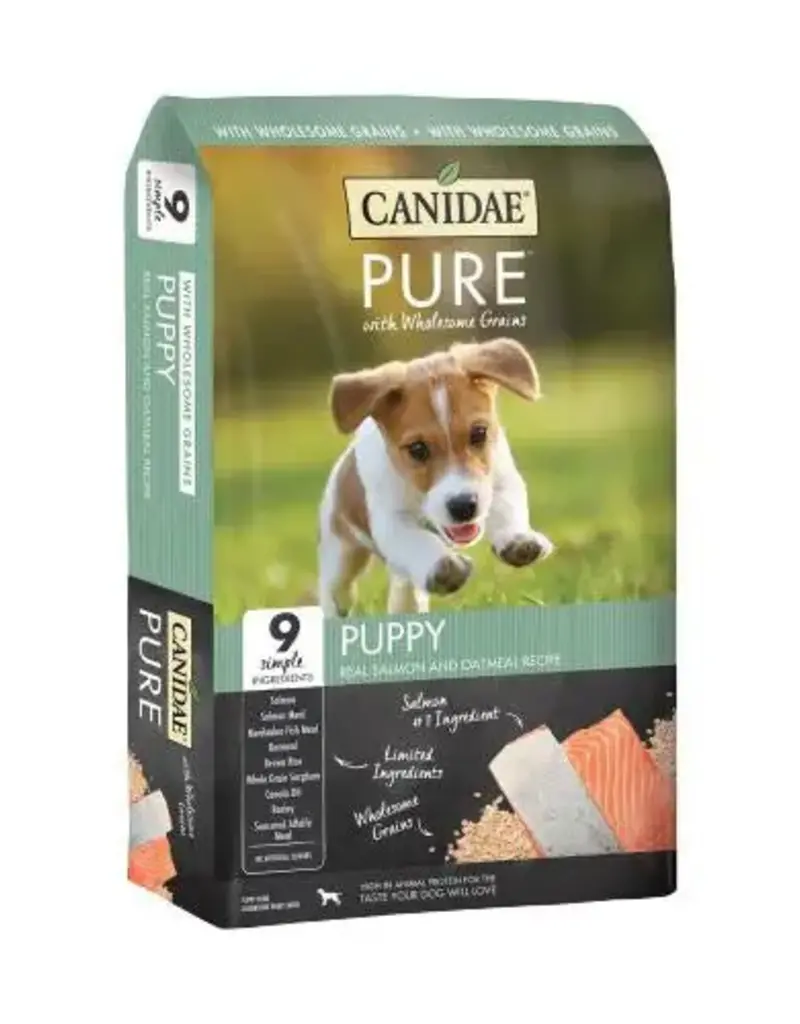 Canidae Canidae Pure Grain Puppy Salmon 4 lbs