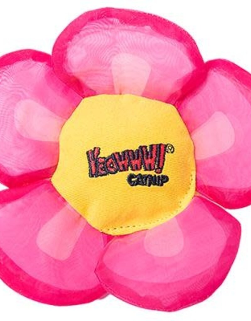 Yeoww Yeowww Daisy Flower Top
