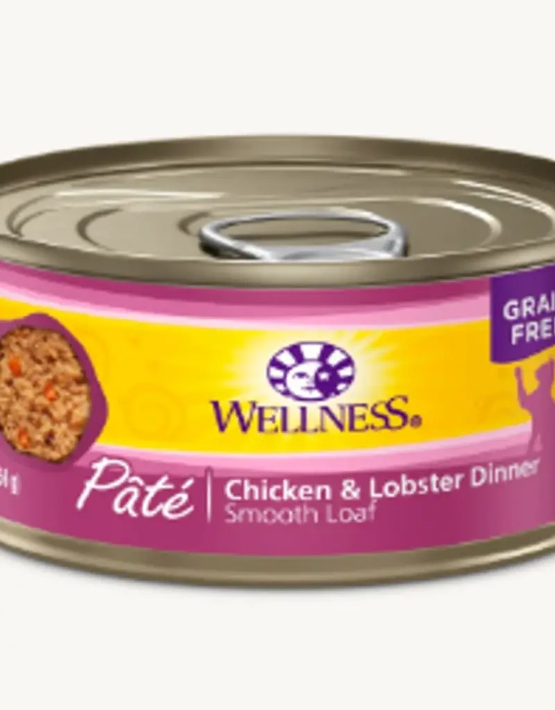 Wellness Wellness Cat Can