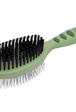 Coastal Coastal Safari  Brush