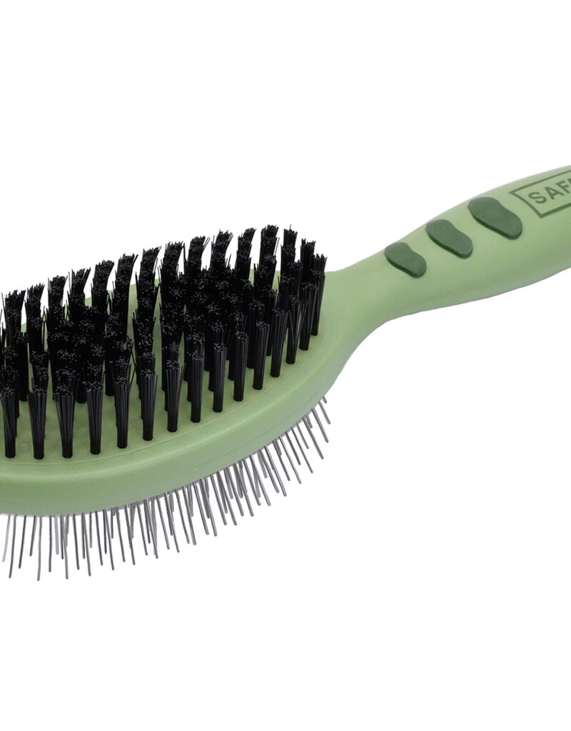 Coastal Coastal Safari  Brush
