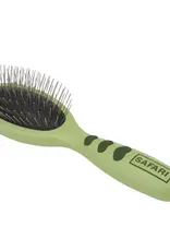 Coastal Coastal Safari  Brush