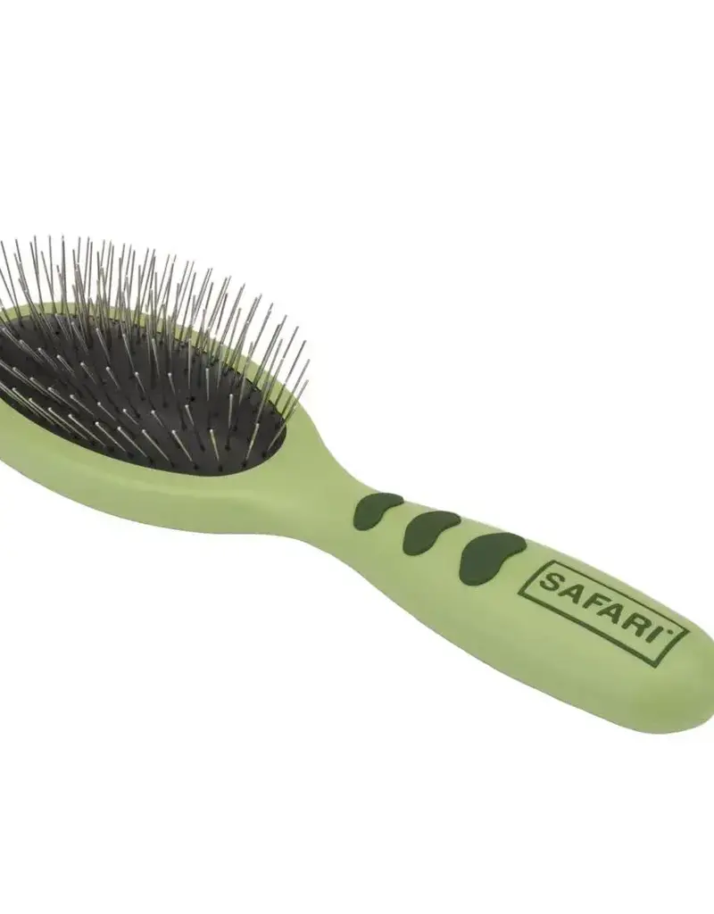 Coastal Coastal Safari  Brush