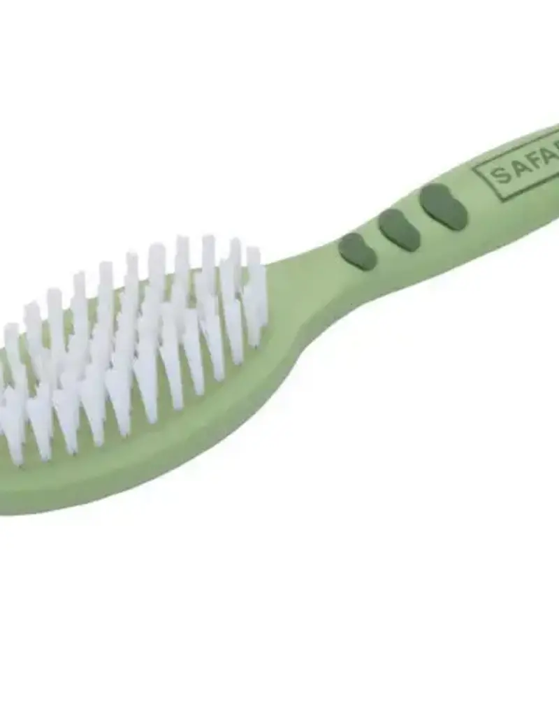 Coastal Coastal Safari  Brush