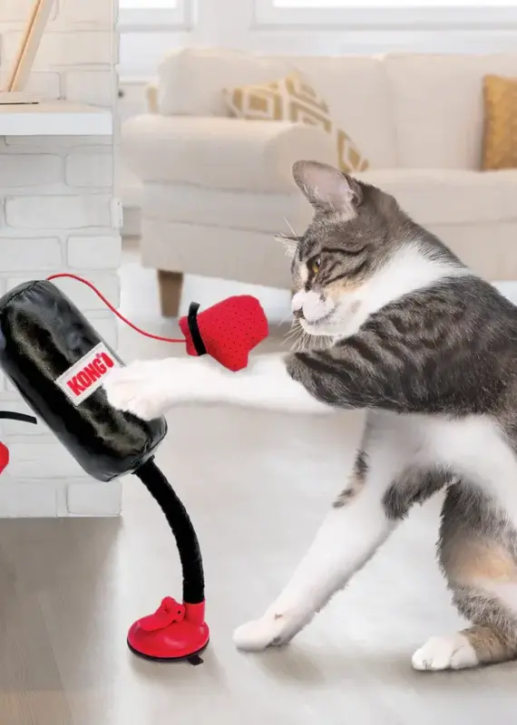 Kong Kong Connects Punching Bag