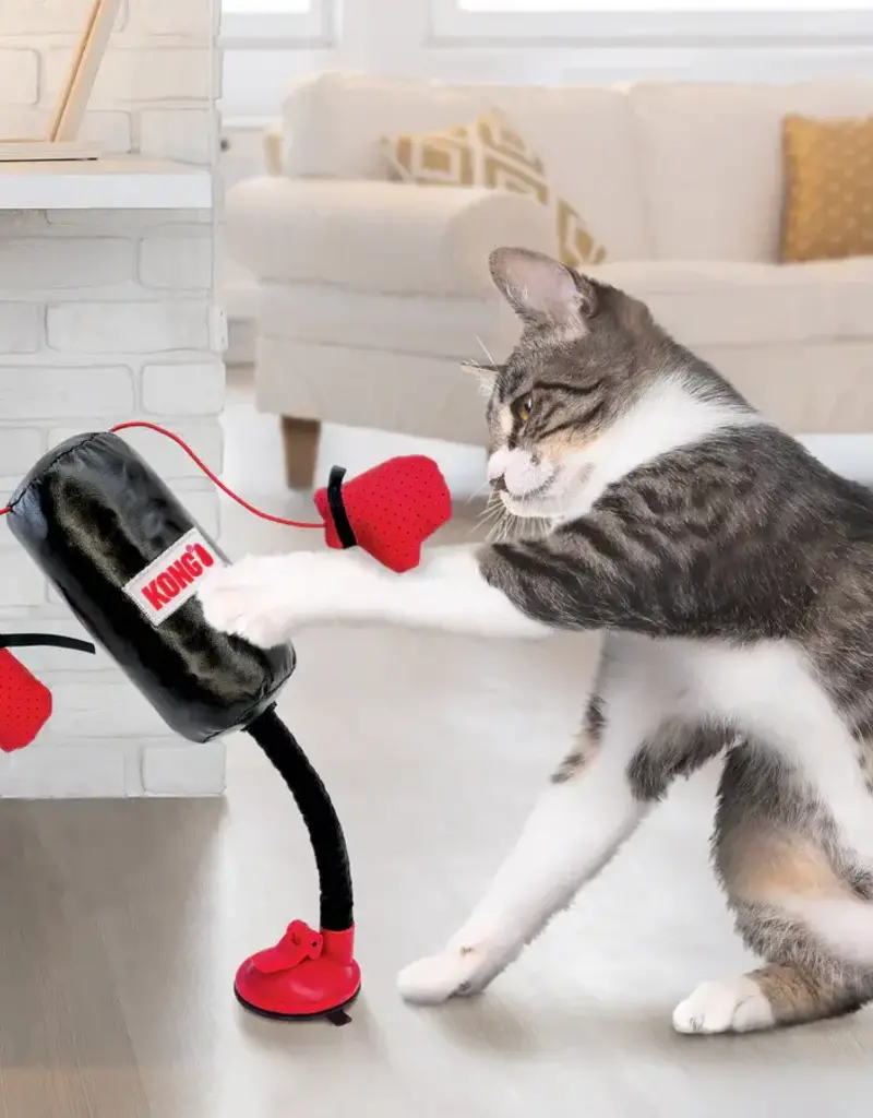 Kong Kong Connects Punching Bag