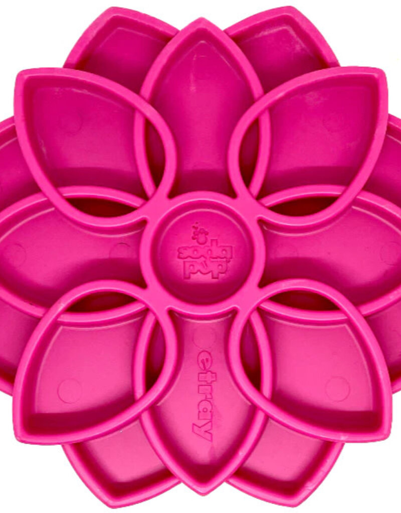 Sodapup Sodapup eTray