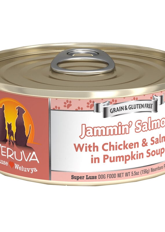 Weruva Weruva Jammin Salmon Chicken  & Pumpkin Soup 5.5 oz